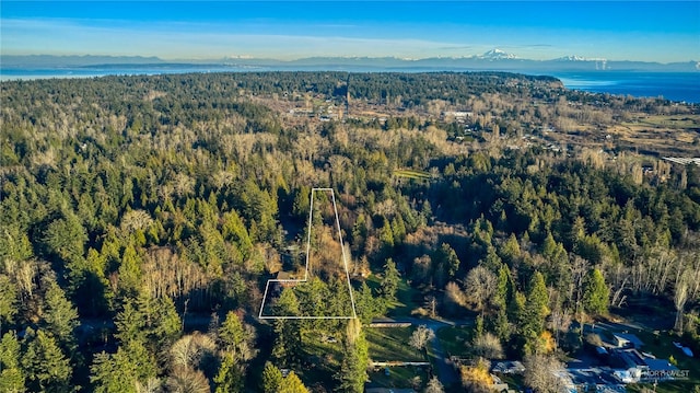 drone / aerial view featuring a mountain view