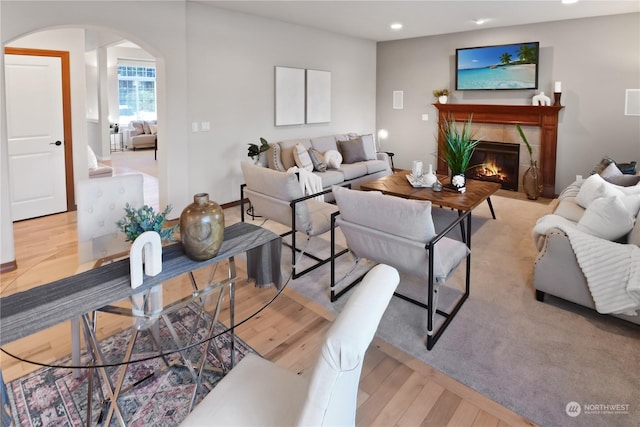 living room featuring a fireplace and light wood-type flooring