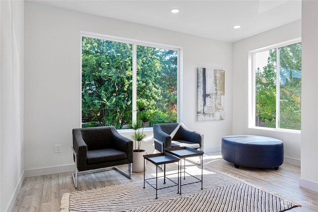 sitting room featuring light hardwood / wood-style flooring