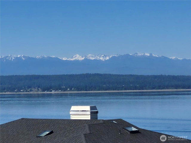 276 Grandview Ave, Camano Island, WA 98282 - water view with a forest and a mountain backdrop