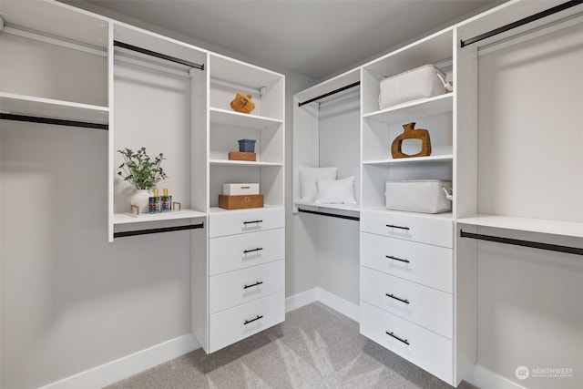 walk in closet featuring light colored carpet