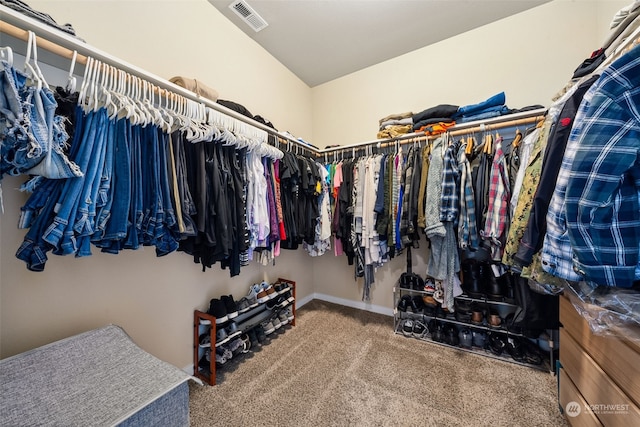 spacious closet with carpet floors