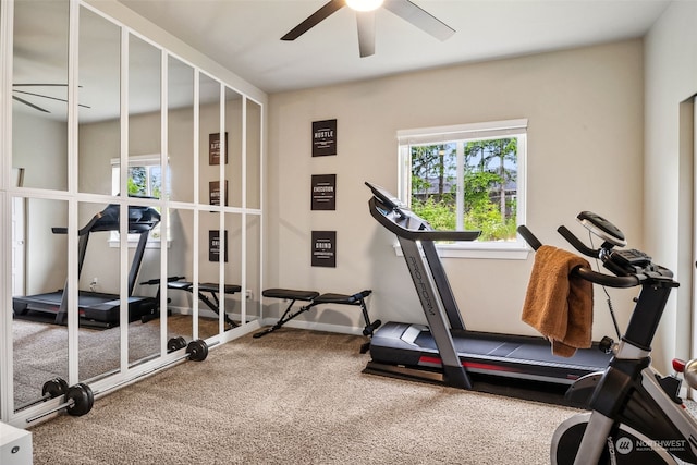 workout room featuring carpet floors and ceiling fan