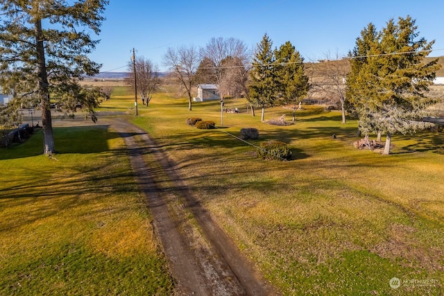 view of community with a yard