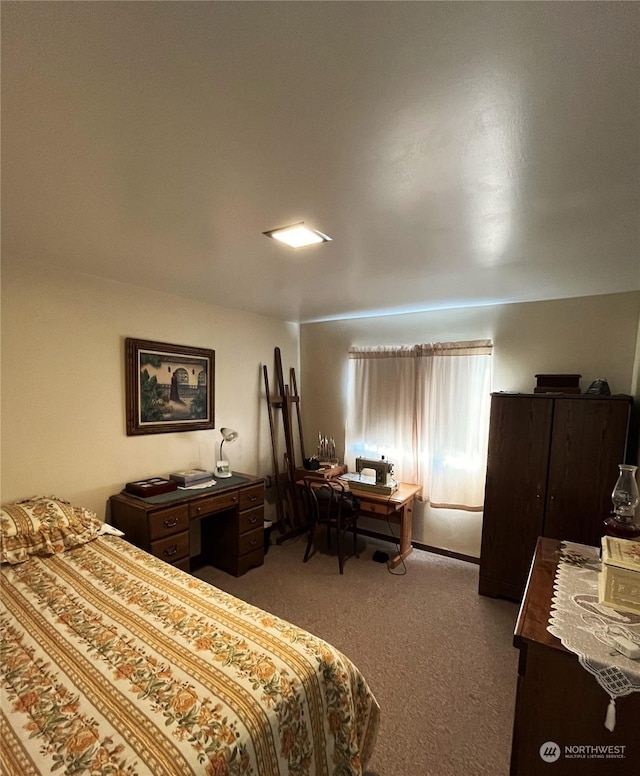 bedroom featuring carpet