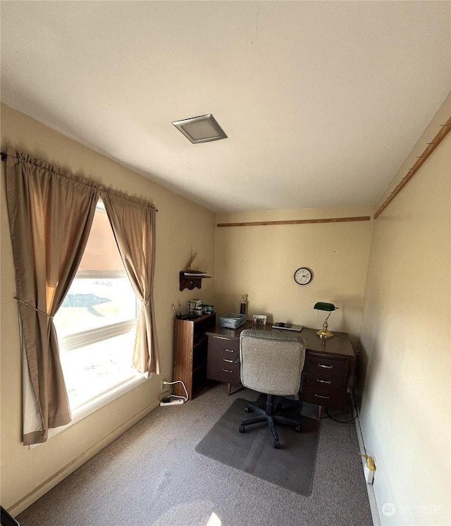 office area featuring carpet flooring