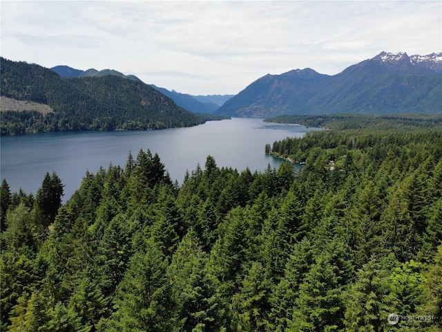 property view of water with a mountain view