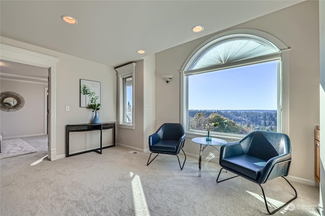 sitting room with light colored carpet