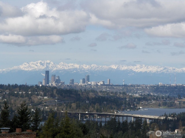 property's view of city featuring a water view