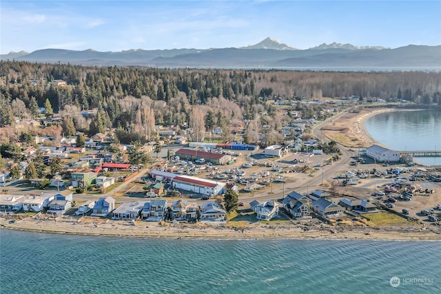 birds eye view of property featuring a water and mountain view