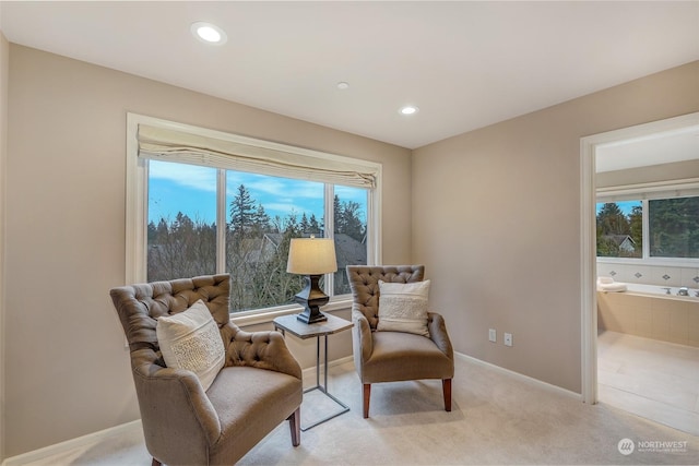 sitting room with light carpet and a wealth of natural light