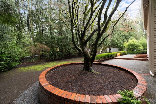 view of yard featuring a patio area