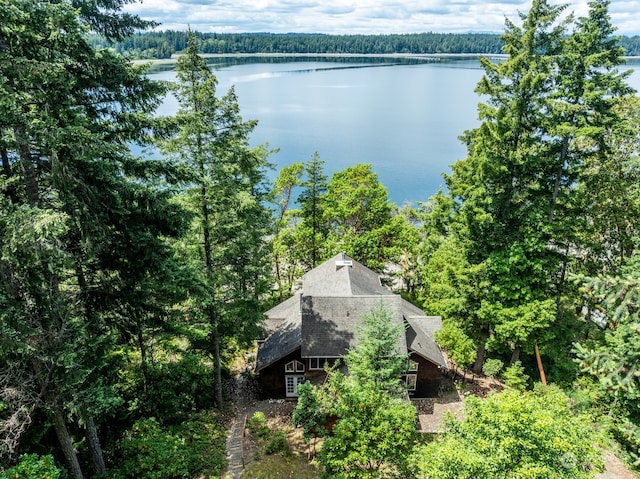 drone / aerial view featuring a water view