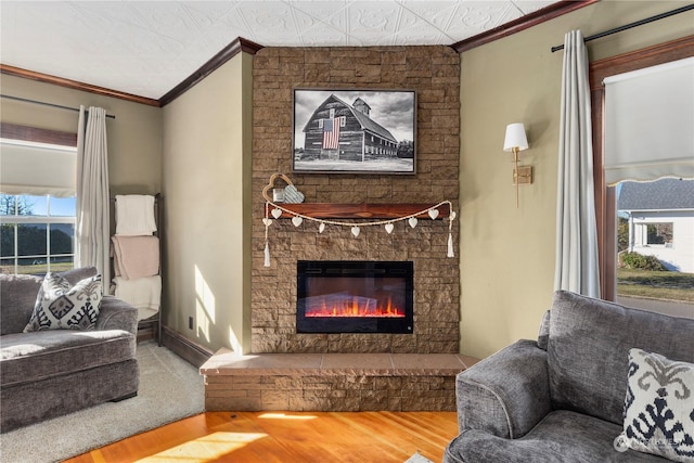 living room with crown molding, a fireplace, and wood-type flooring