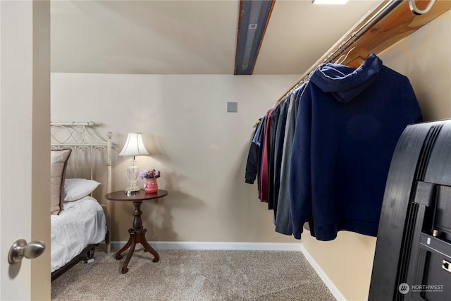 spacious closet with carpet floors