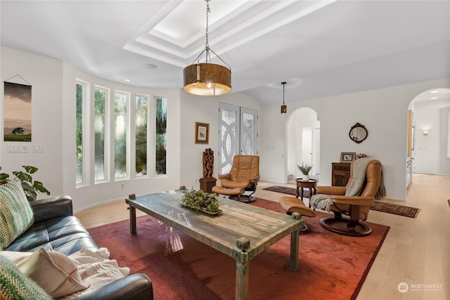 living room featuring a tray ceiling and hardwood / wood-style floors