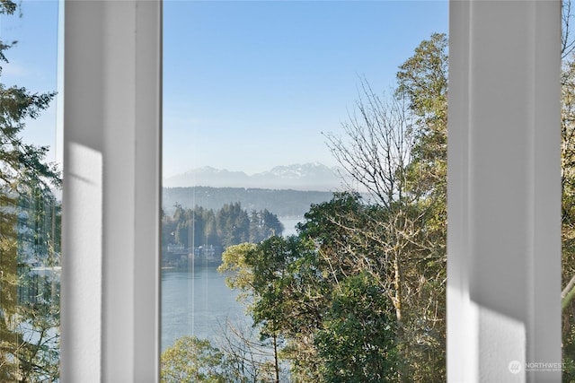 property view of water with a mountain view