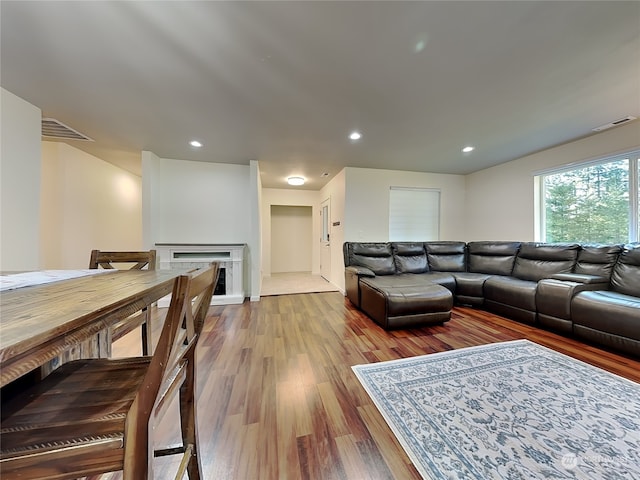 living room featuring hardwood / wood-style flooring