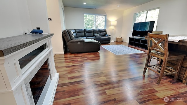 living room featuring hardwood / wood-style floors