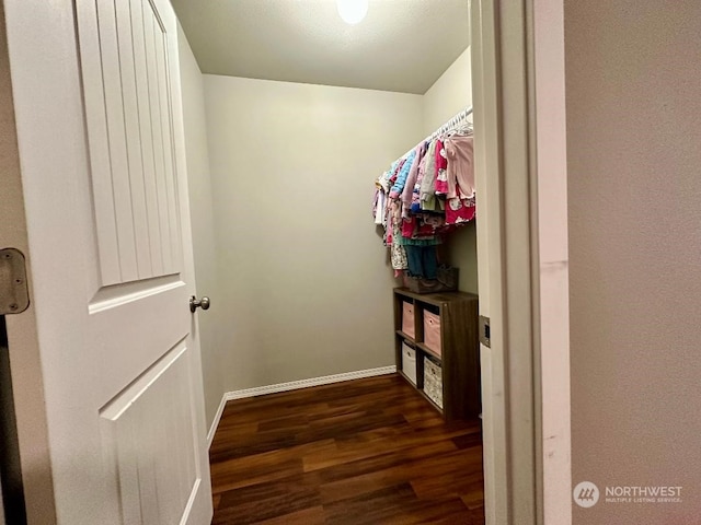 spacious closet with dark hardwood / wood-style floors