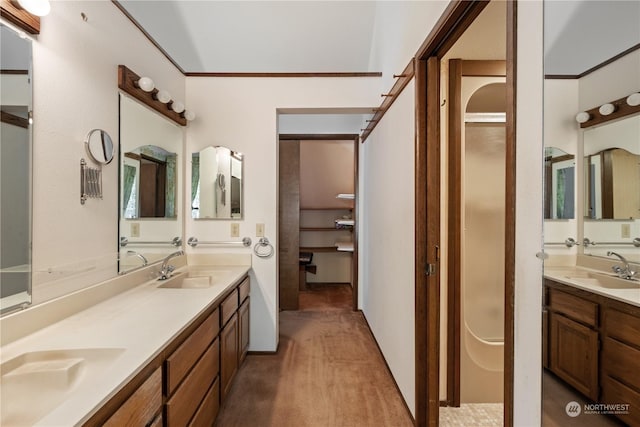 bathroom with vanity