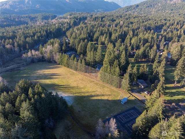 aerial view featuring a mountain view