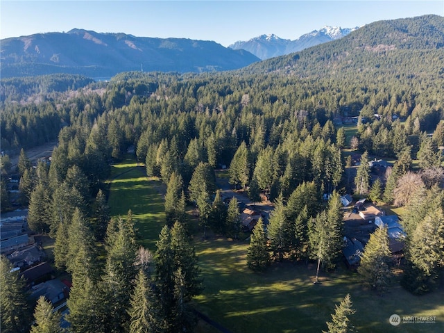 aerial view with a mountain view