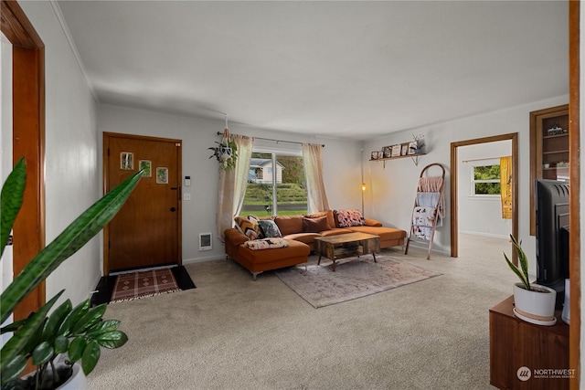 living room featuring carpet flooring