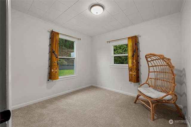 unfurnished room with ornamental molding and carpet