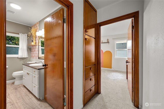 hallway with sink, a wealth of natural light, and ornamental molding