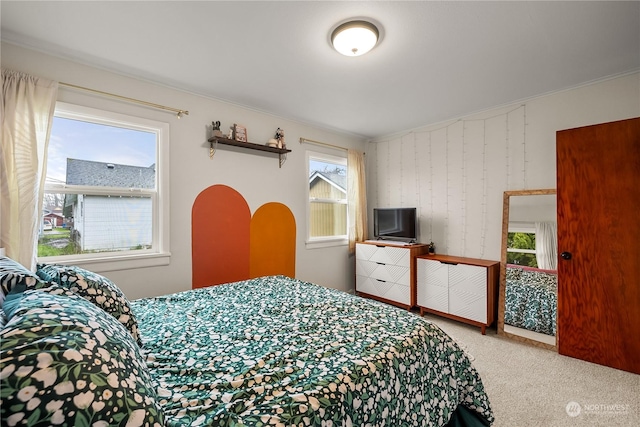 bedroom with carpet flooring