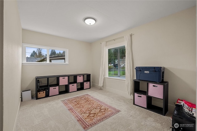 rec room with light carpet and a wealth of natural light