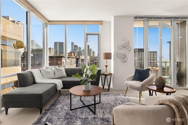 living room with expansive windows