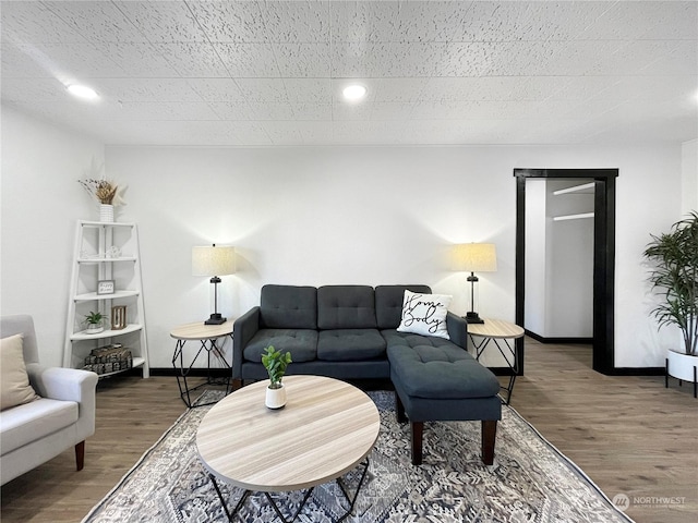 living room with hardwood / wood-style floors