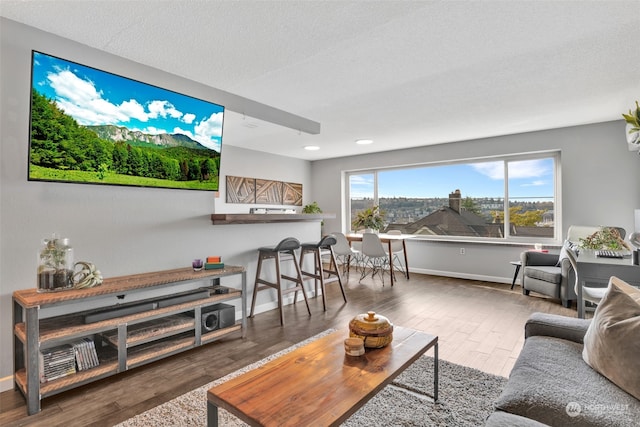 living room with wood-type flooring and a textured ceiling