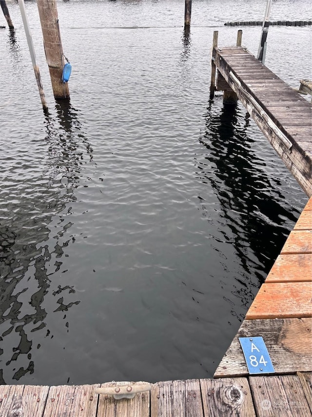 dock area with a water view