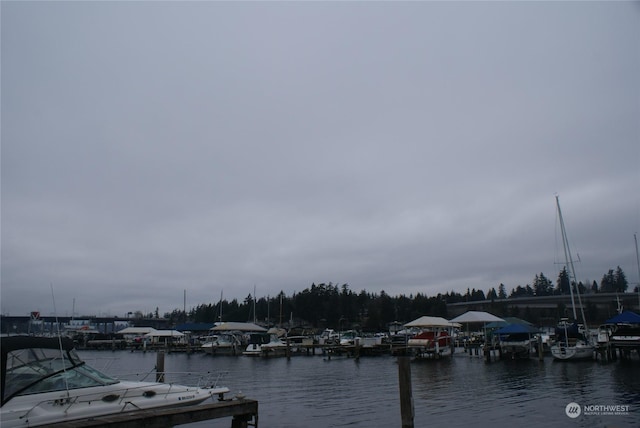 property view of water featuring a dock