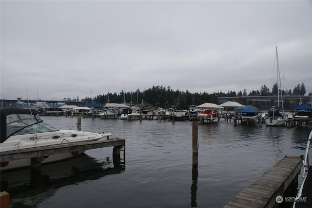 dock area featuring a water view