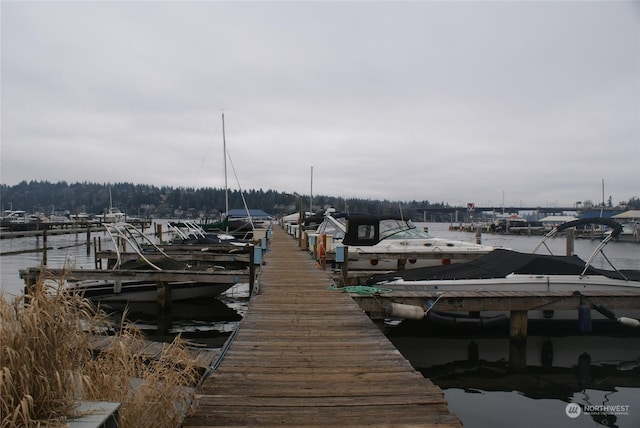 dock area featuring a water view