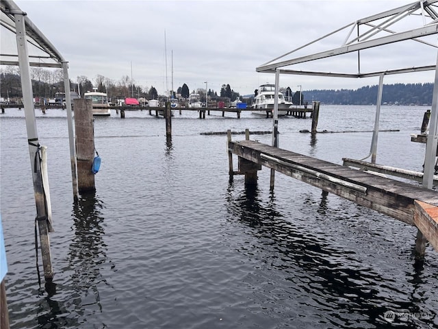 dock area featuring a water view