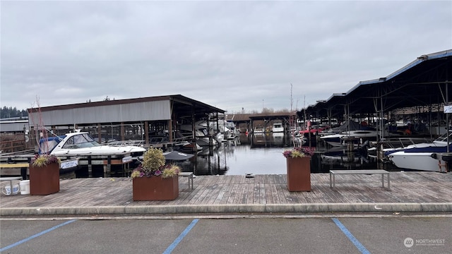 dock area with a water view