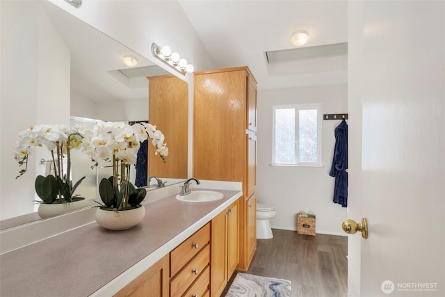 bathroom featuring vanity, wood finished floors, a raised ceiling, and toilet