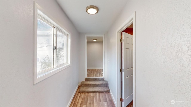 hall with hardwood / wood-style flooring and a wealth of natural light