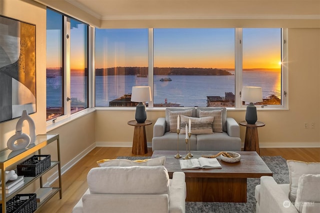 living room featuring a water view, plenty of natural light, and light wood-type flooring