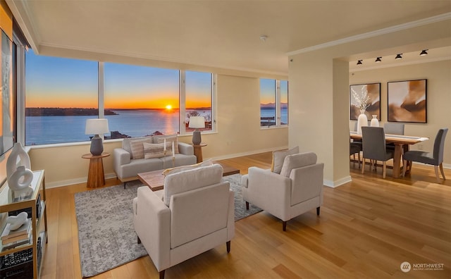 living room with crown molding, a water view, and light wood-type flooring