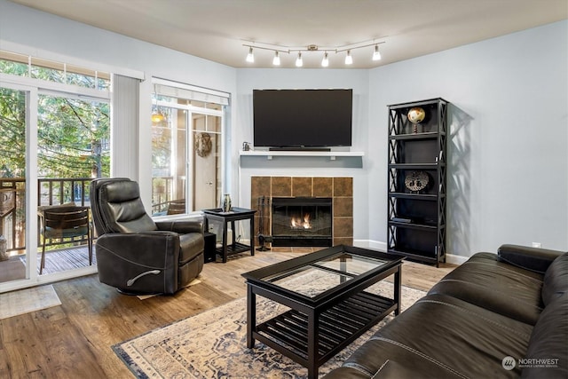 living room with a fireplace and light hardwood / wood-style floors