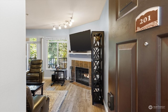 living room featuring a fireplace and light hardwood / wood-style floors