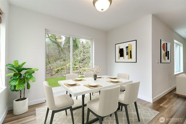 dining room featuring baseboards, wood finished floors, and a healthy amount of sunlight