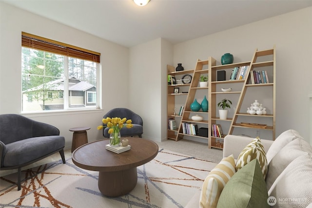sitting room with carpet flooring