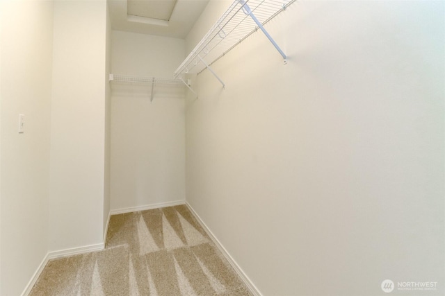 walk in closet with light colored carpet